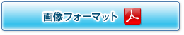 画像フォーマットPDF